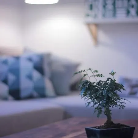 Homevision - Stylish & Serene - Center